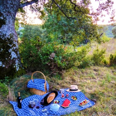 Picnic